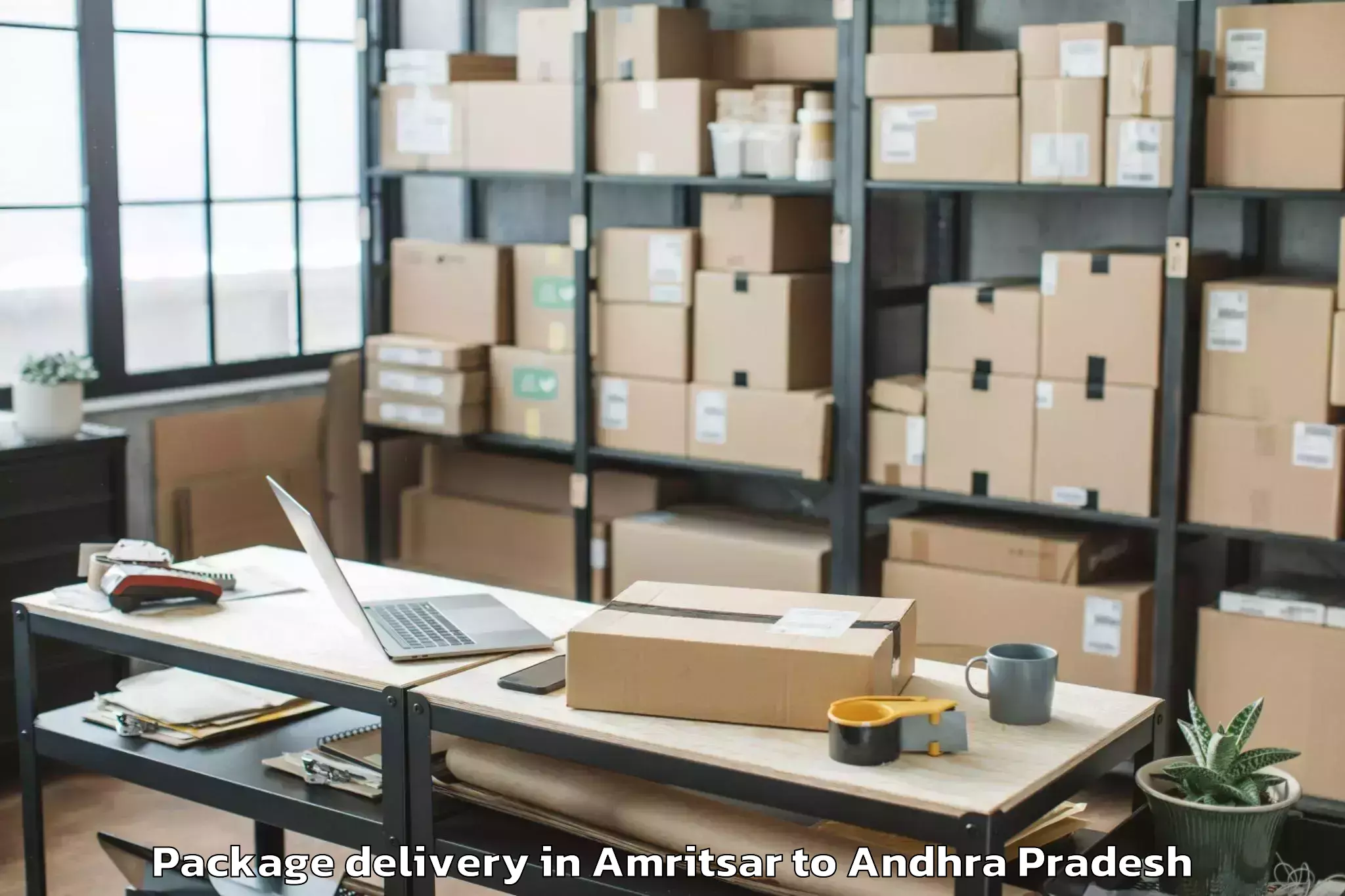 Quality Amritsar to Rudravaram Package Delivery